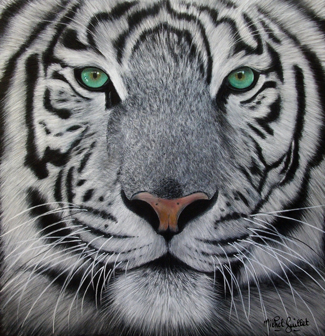 Close-up of white tiger face with green eyes and black stripes