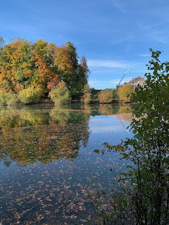 Calm lake with autumn trees reflected in the water and fallen leaves floating on the surface