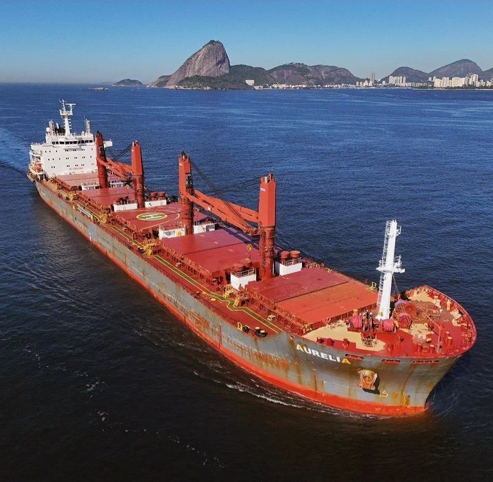 Red cargo ship on blue water with coastline and mountains in the distance