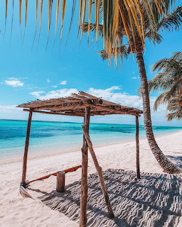 Wooden swing on tropical beach with palm trees, white sand, and turquoise ocean under blue sky