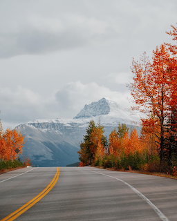 Highway leading toward snow-capped mountain with colorful autumn trees on both sides under cloudy sky