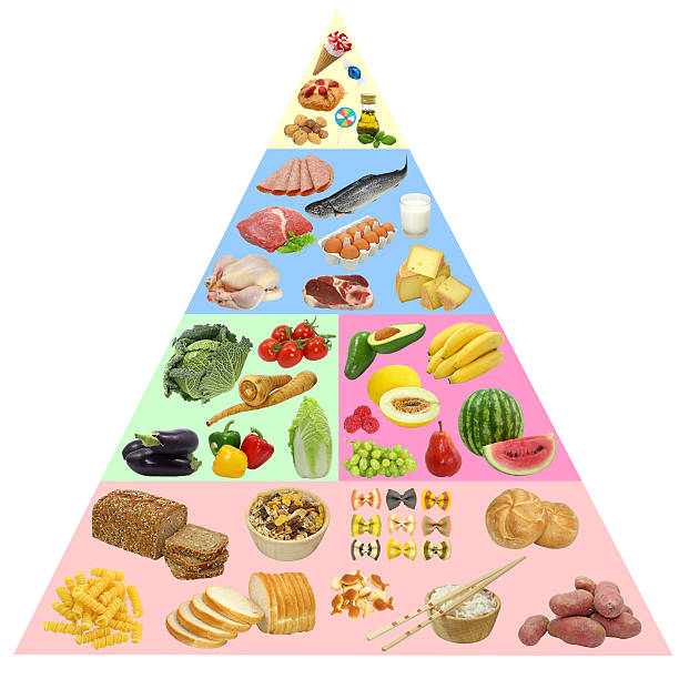 Illustration of a food pyramid with grains, vegetables, fruits, dairy, meats, and sweets