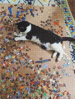 Black and white cat lying stretched out on an incomplete jigsaw puzzle with scattered pieces