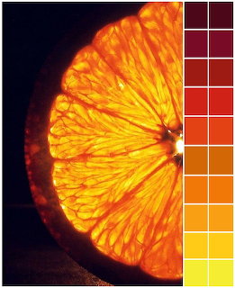 Backlit orange slice showing translucent segments and pulp texture in warm yellow and orange tones
