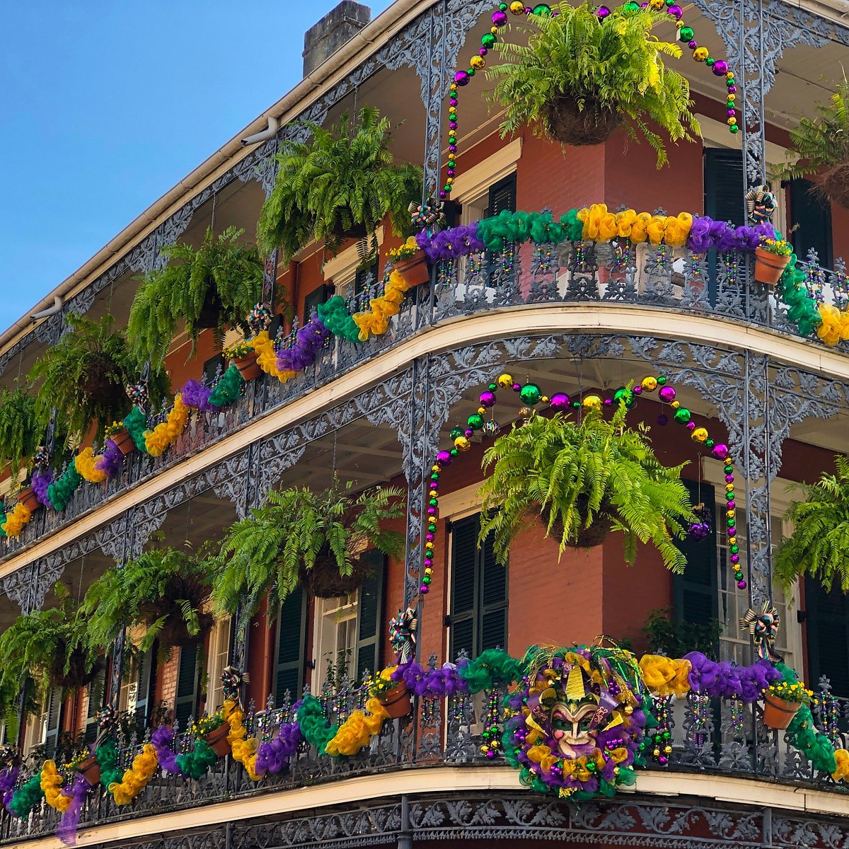 Ornate wrought iron balconies adorned with purple, green, and gold Mardi Gras decorations and hanging plants