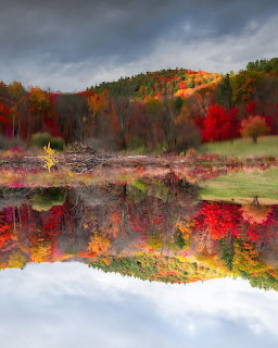 Autumn trees and hillside reflected in a calm pond under a cloudy sky