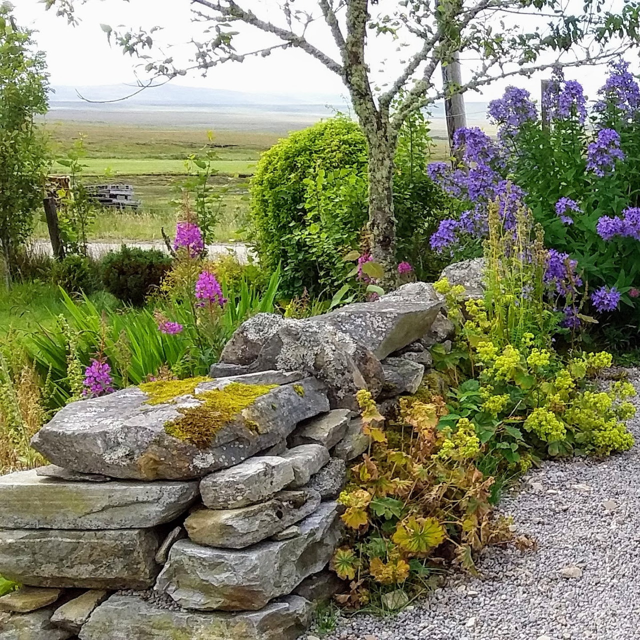 Crask Inn Garden Sutherland