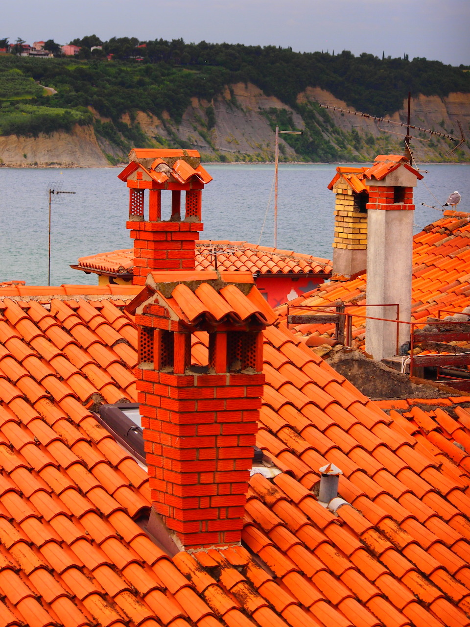 Red teracotta rooftops with decorative chimneys overlooking the sea and coastal cliffs in Izola, Slovenia
