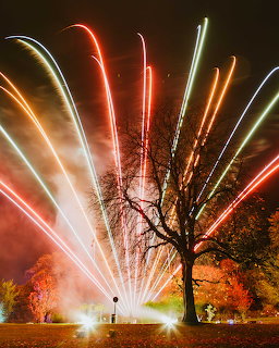 Fireworks Explosion Behind Tree