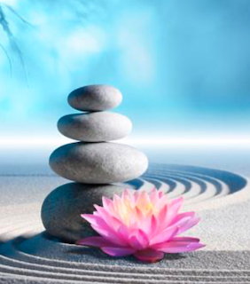 Zen Stones and Lotus
