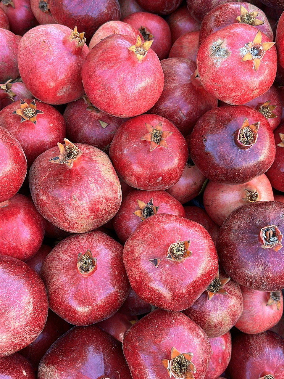 Pile of fresh ripe red pomegranates filling the frame