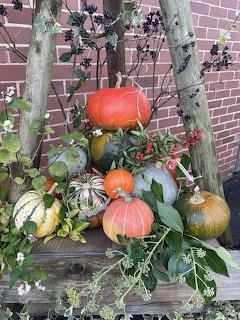 Colorful pumpkins and gourds arranged on a rustic wooden bench with autumn foliage and berries