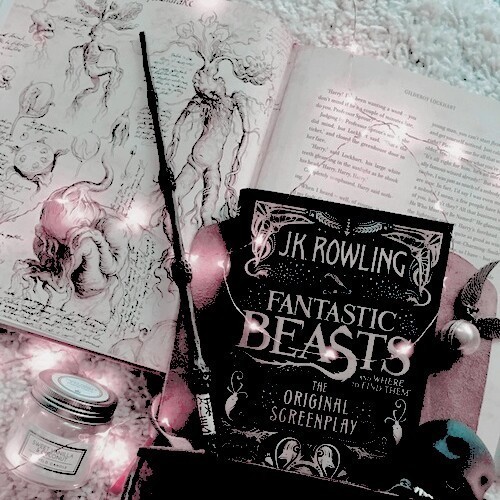 Fantastic Beasts Flatlay