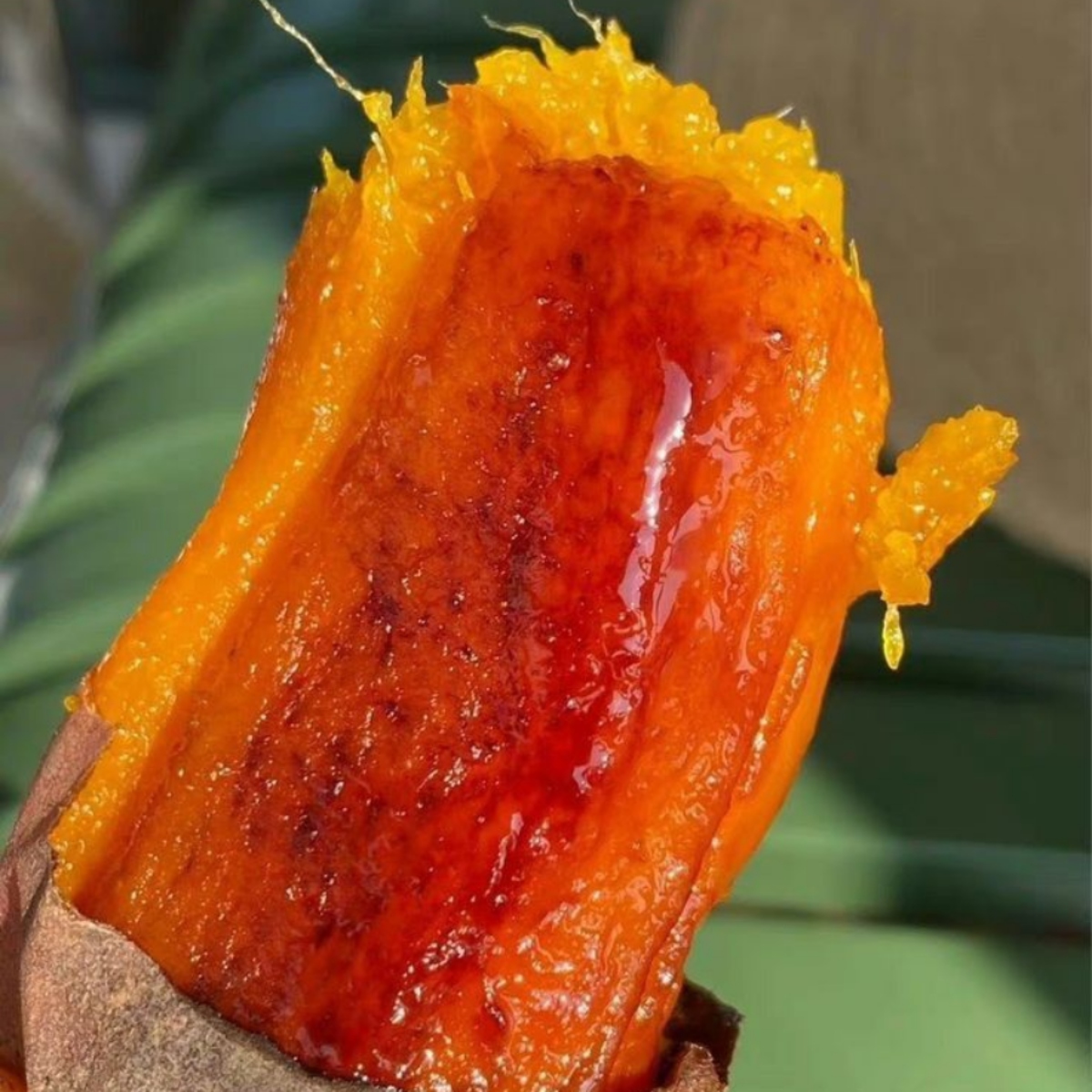 Roasted Sweet Potato