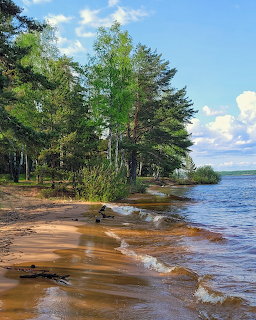 Rybinskoye Lake Shore