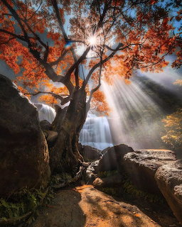 Sun rays shining through an orange-leaved tree near rocks and a waterfall