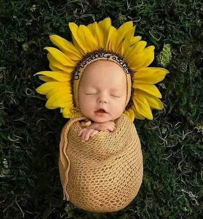 Baby Sunflower Bonnet