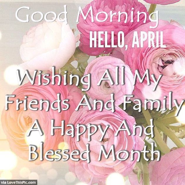 Pink ranunculus flowers with Good Morning Hello April greeting text overlay
