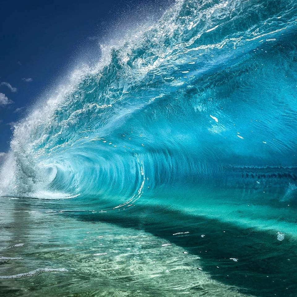 Curling turquoise ocean wave forming a barrel over clear shallow water