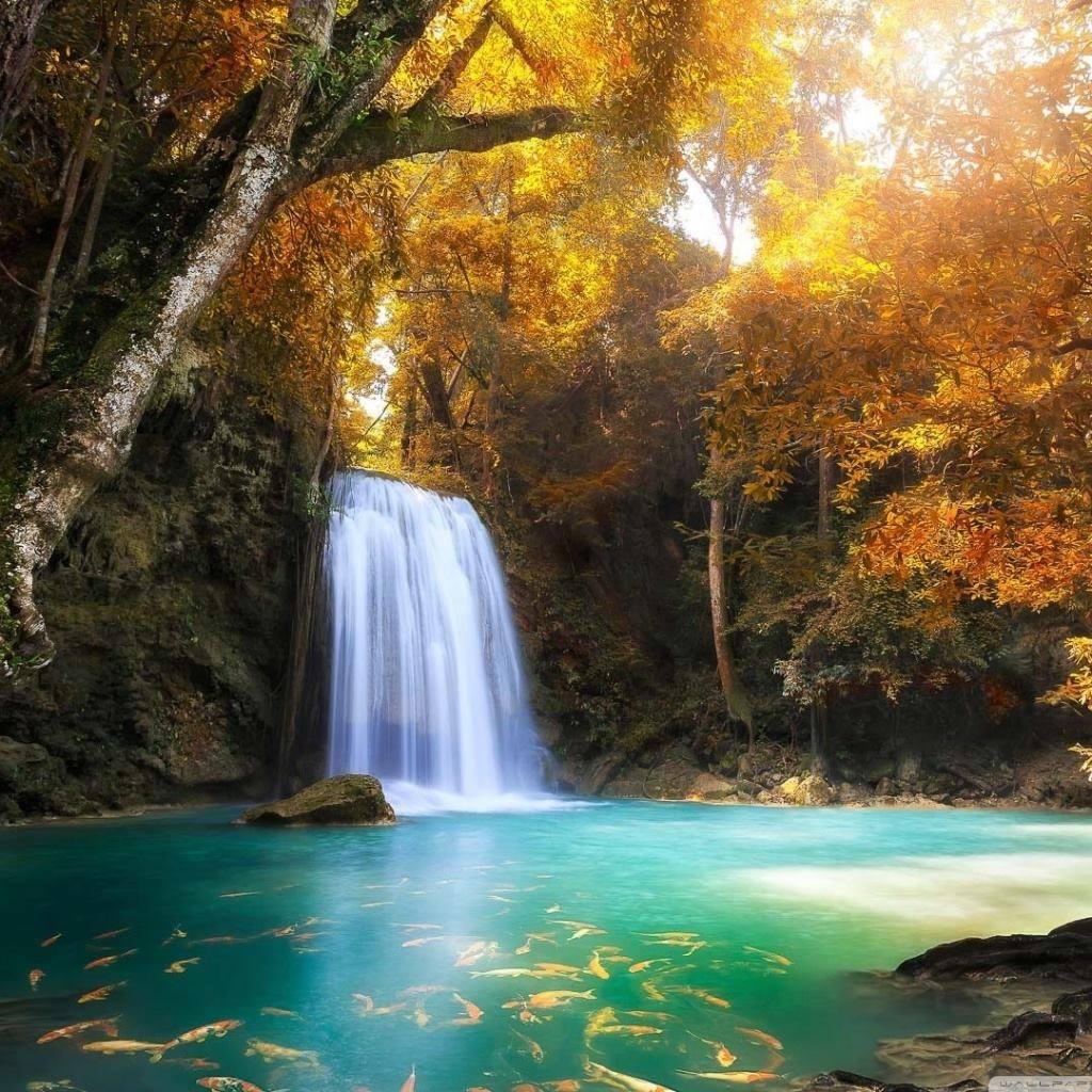 Waterfall flowing into turquoise pool in autumn forest with golden leaves and sunbeams