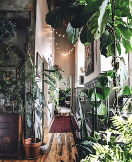 Narrow hallway densely filled with tropical houseplants, string lights, wooden floor, and a red rug