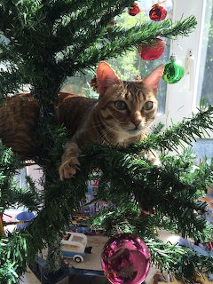 Tabby cat sitting in green Christmas tree branches with red, green, and pink ornaments