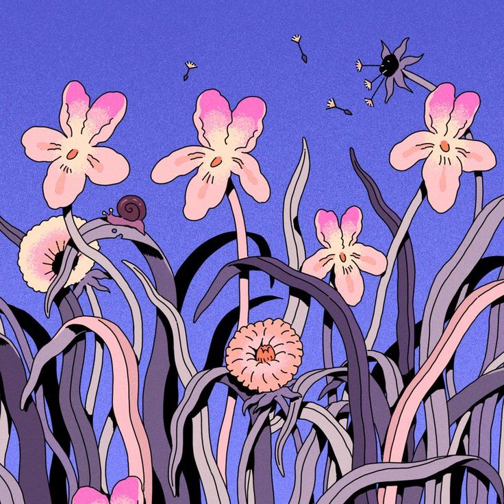 Pink Flowers Illustration