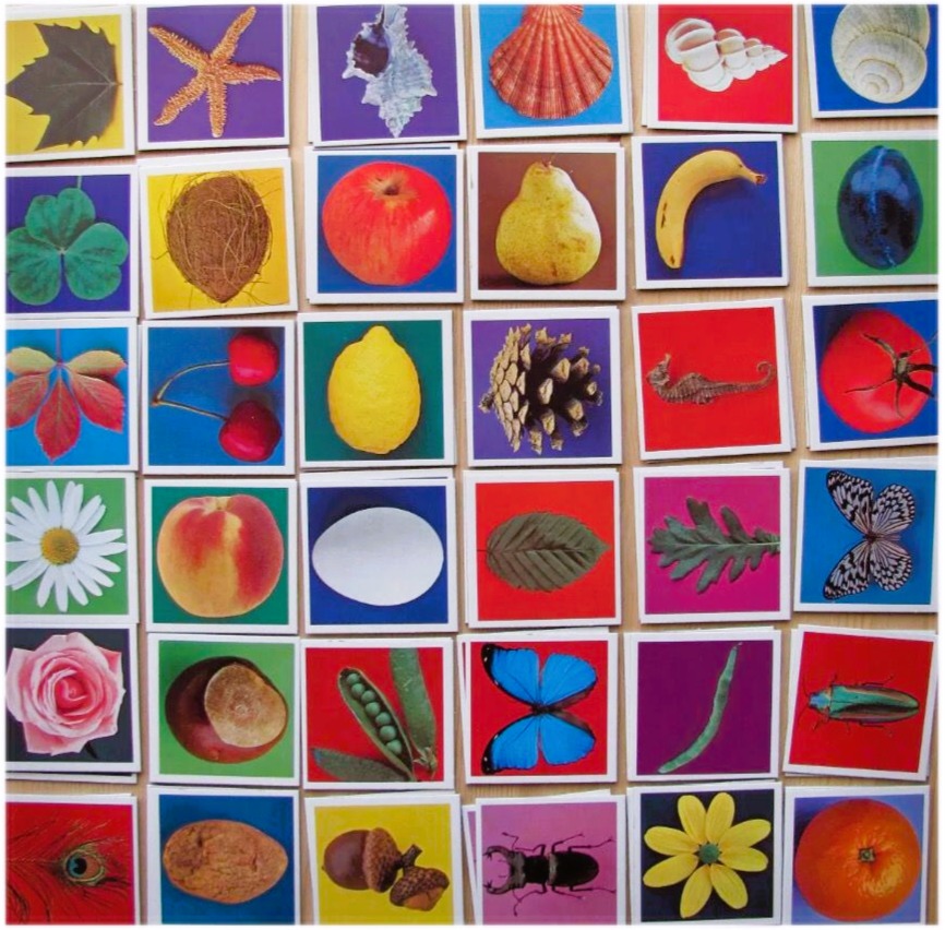 Grid of 42 colorful squares showing various objects like fruits, flowers, butterflies, and animals on bright backgrounds