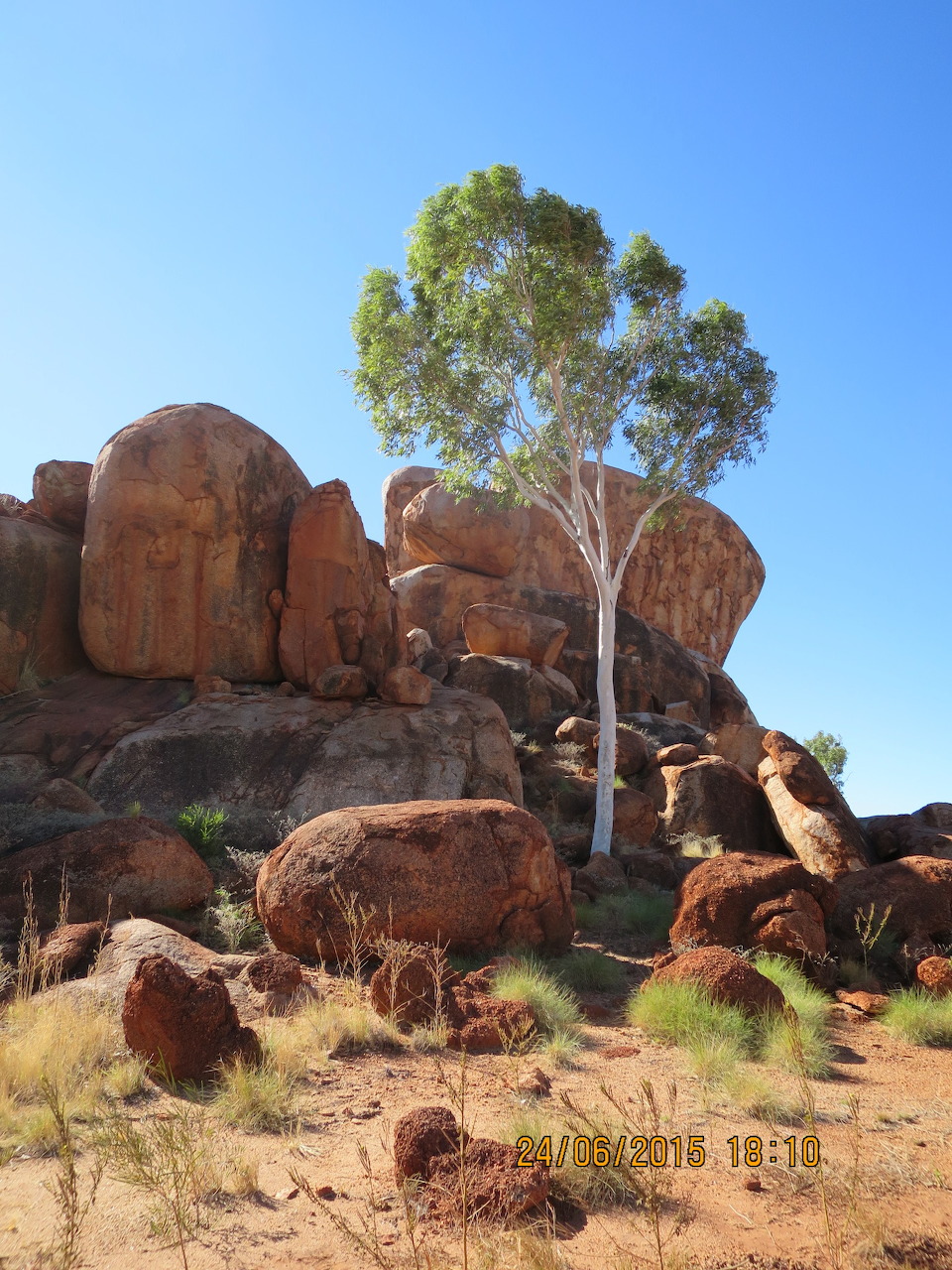 Rounded red granite boulders with a eucalyptus tree at Devils Marbles, Central Australia