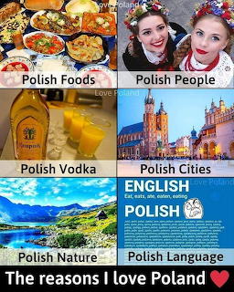 Six-panel collage about Poland showing food, people, vodka, cities, nature, and language.