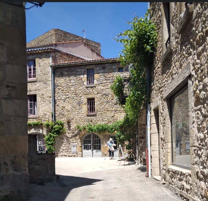 Narrow street between old stone houses in a sunny French village with climbing greenery