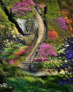Wooden stairway curving through colorful garden with purple, pink, yellow flowers and moss-covered rocks