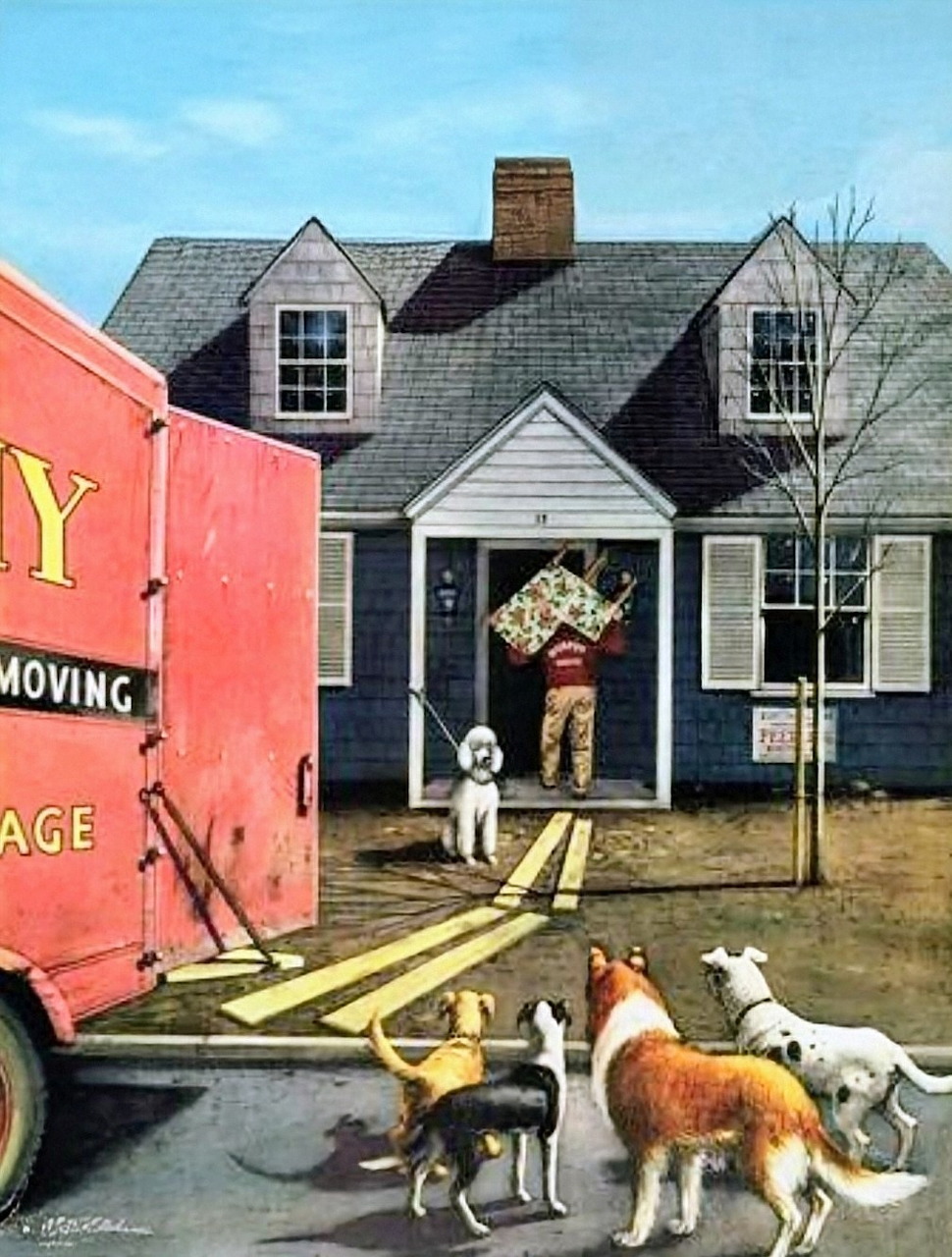 New Dog in Town 1953