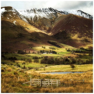 Mountain valley with snow-capped peaks, green fields, scattered trees and wooden gate in foreground