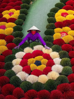 Vietnamese Incense Stick Drying