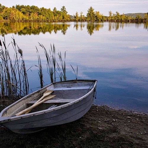Small rowboat with oars on a lakeshore beside reeds and a calm reflective lake