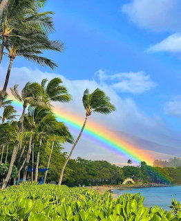 Hawaii Rainbow Over Bay