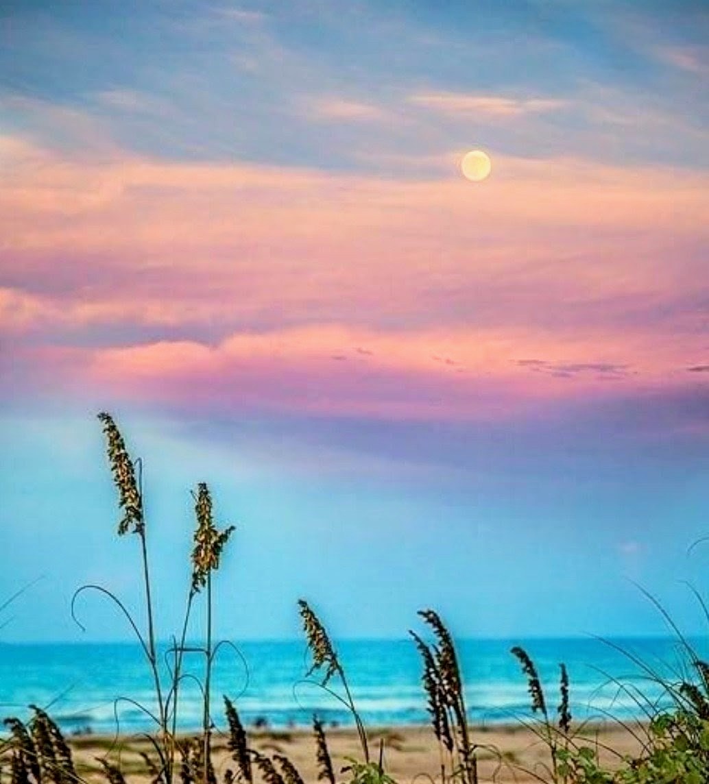 Beach Sunset with Sea Oats