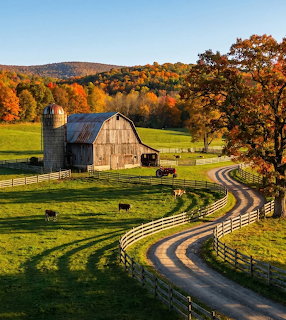 Vermont Farm Autumn Foliage