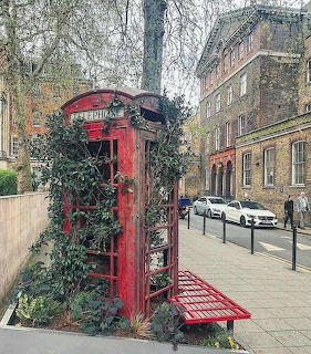 Overgrown Red Phone Box