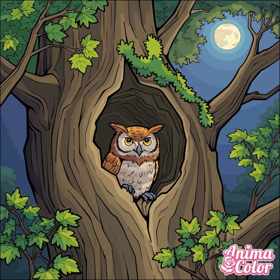 Owl in Tree Hollow