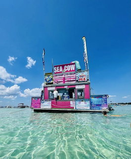 Pink floating Sea Cow ice cream boat in clear turquoise water under blue sky