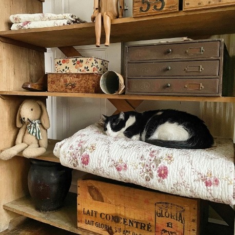 Black and white cat curled up sleeping on folded linens on a wooden shelf surrounded by vintage boxes and décor