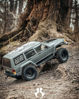 Gray RC crawler truck model on dirt ground near large tree roots in a forest