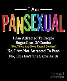 Colorful pansexual pride text graphic on black background with rainbow letters and explanatory quotes