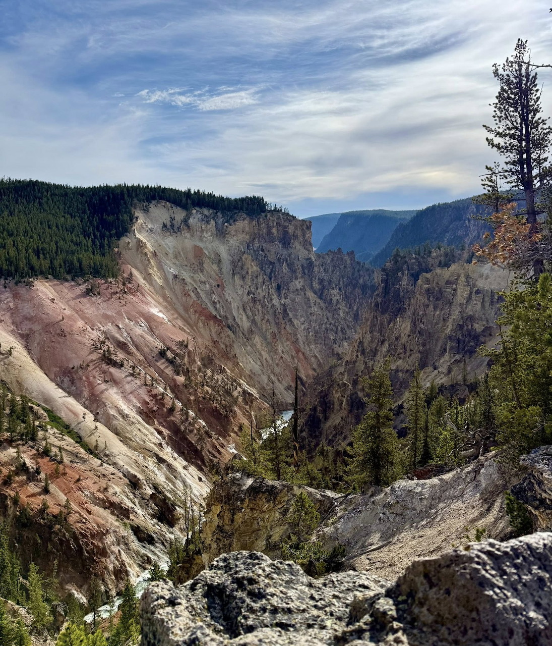 Rocky canyon with steep cliffs, pine trees, and distant mountains under a blue sky