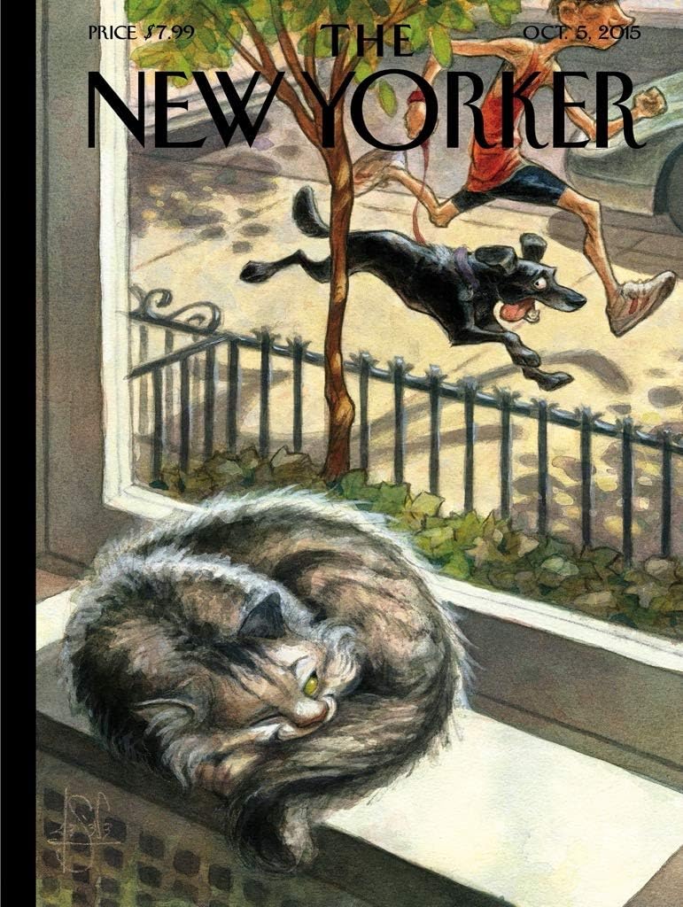 Gray tabby cat resting on windowsill with person jumping fence in background