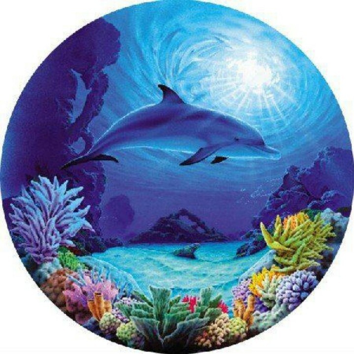 Blue underwater artwork of a dolphin swimming above colorful coral reefs