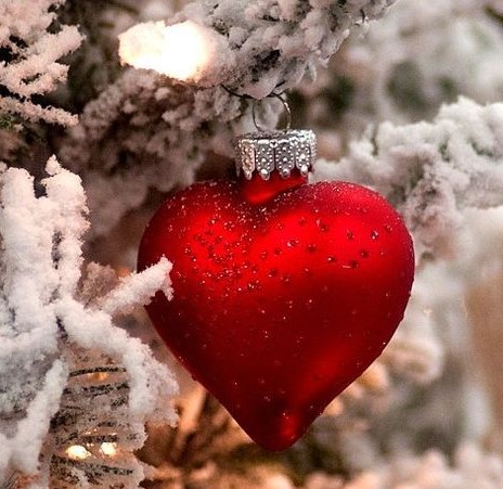 Red heart-shaped Christmas ornament on a snowy tree branch