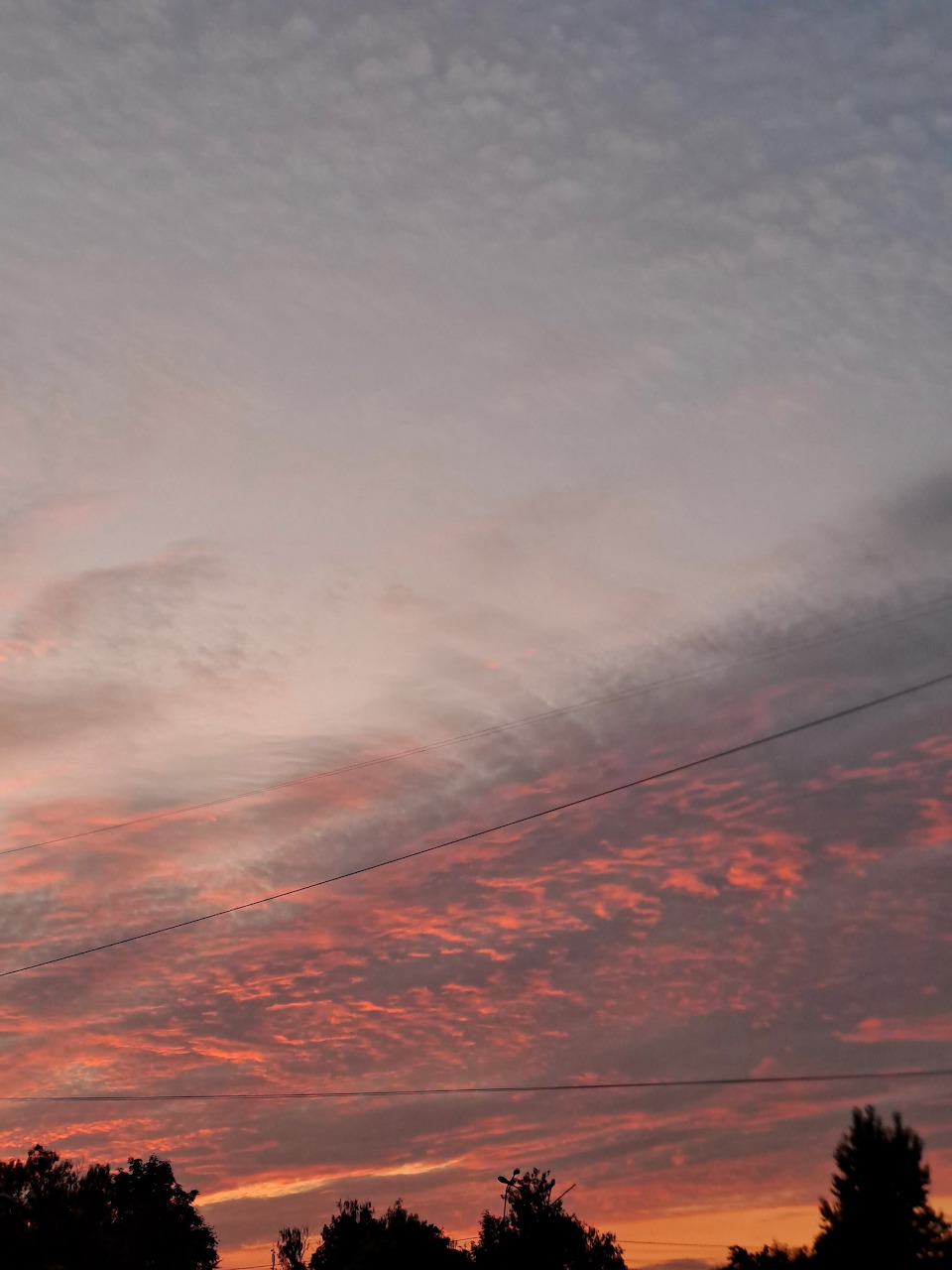 Pink Sunset Sky